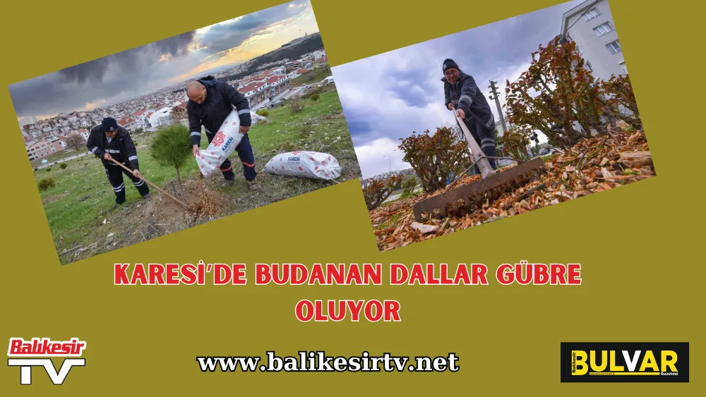 Karesi’de Budanan Dallar Gübre Oluyor